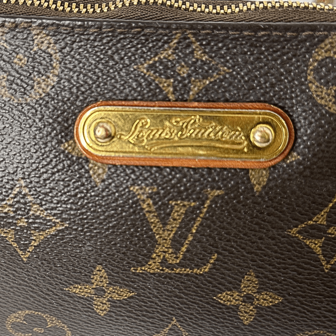 Louis Vuitton Monogram Eva Crossbody Pochette