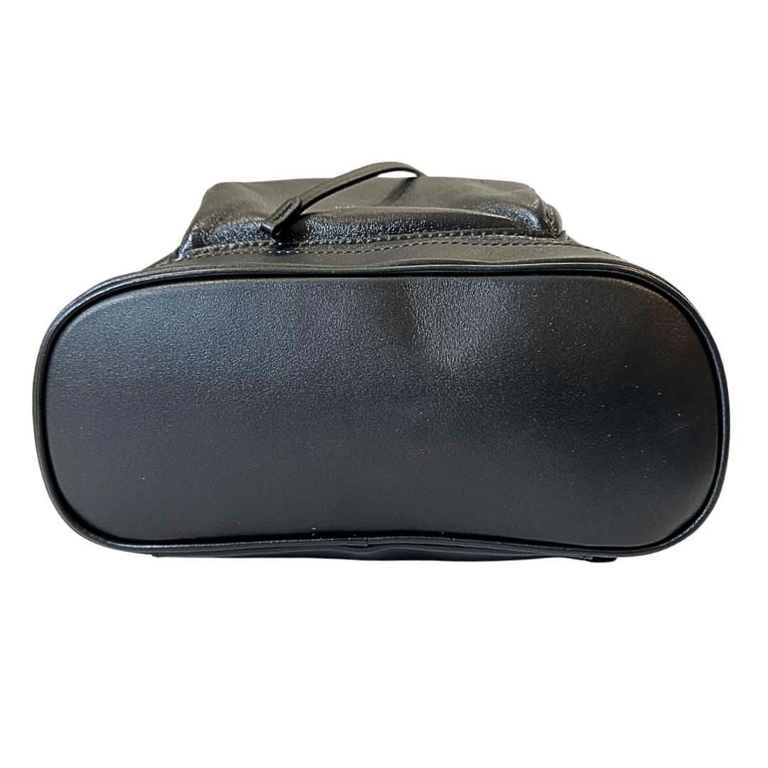 Louis Vuitton Montsouris Vibe Backpack PM