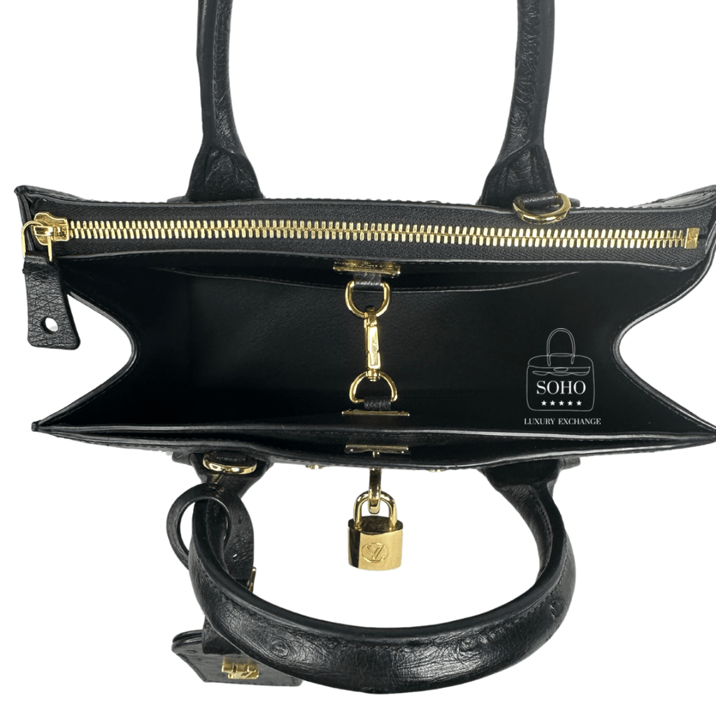 Louis Vuitton Ostrich City Steamer PM Bag