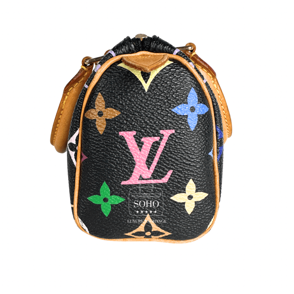 Louis Vuitton Takashi Murakami Monogram Multicolore Mini Speedy HL