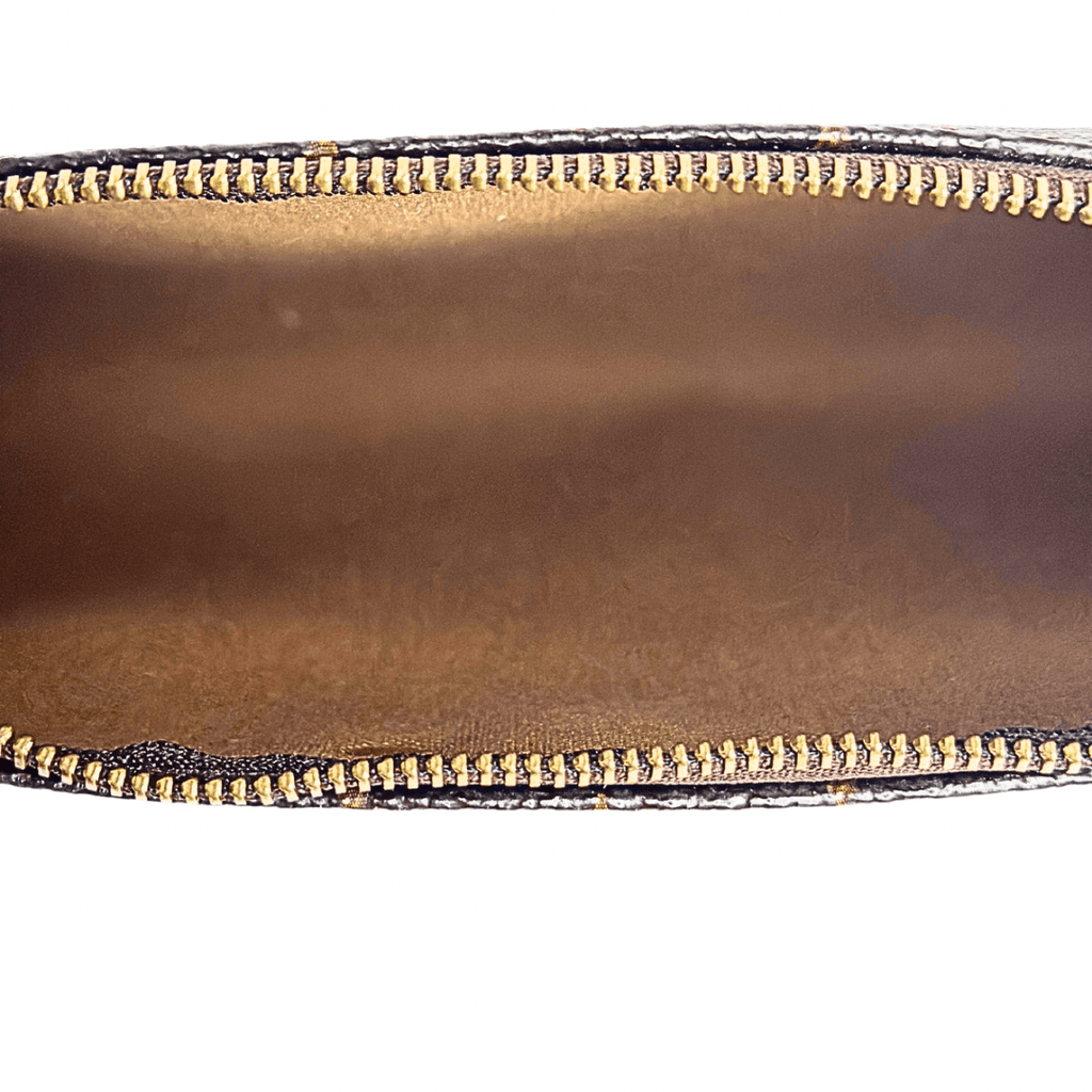 Louis Vuitton Monogram Eva Pochette