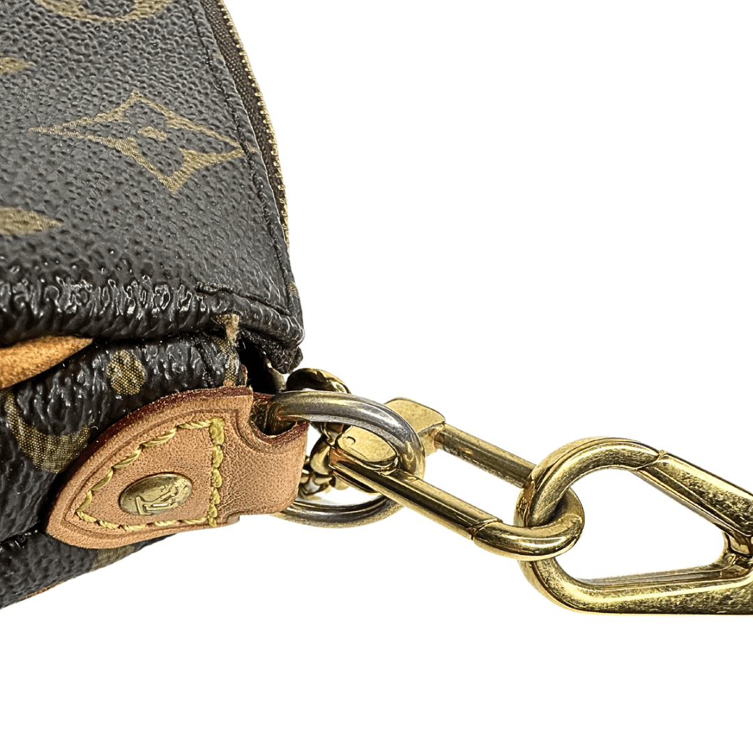 Louis Vuitton Monogram Eva Pochette