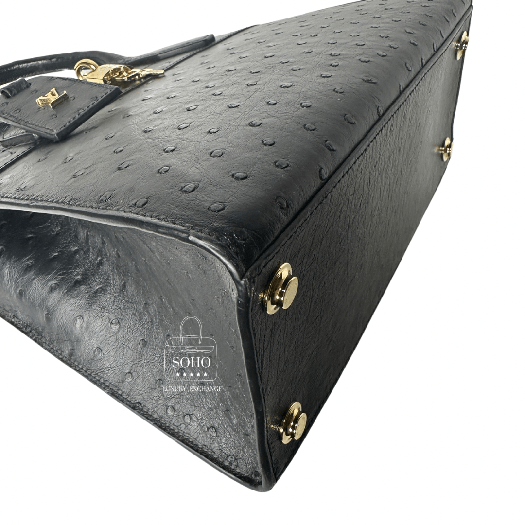 Louis Vuitton Ostrich City Steamer PM Bag