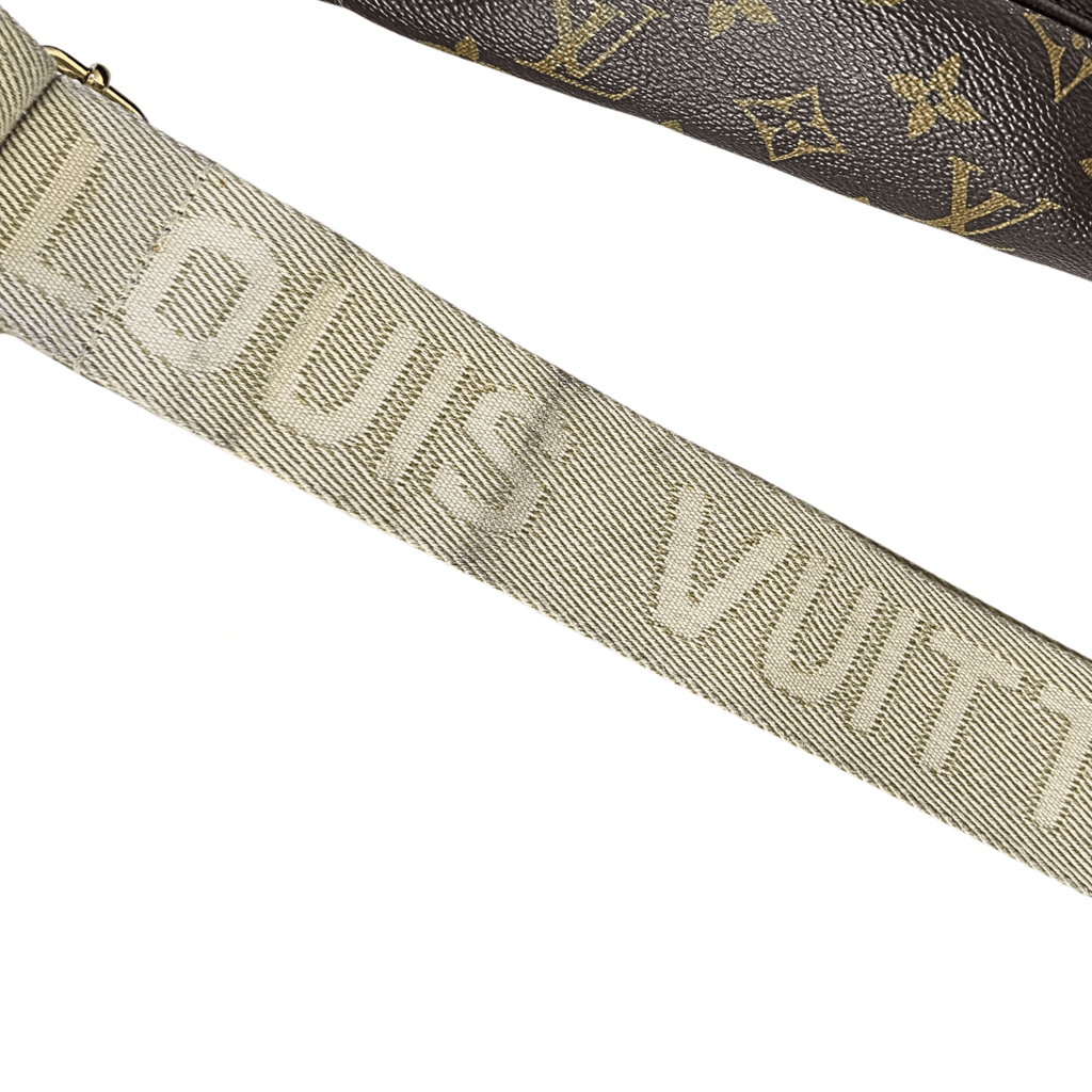 Louis Vuitton Monogram High Rise BumBag
