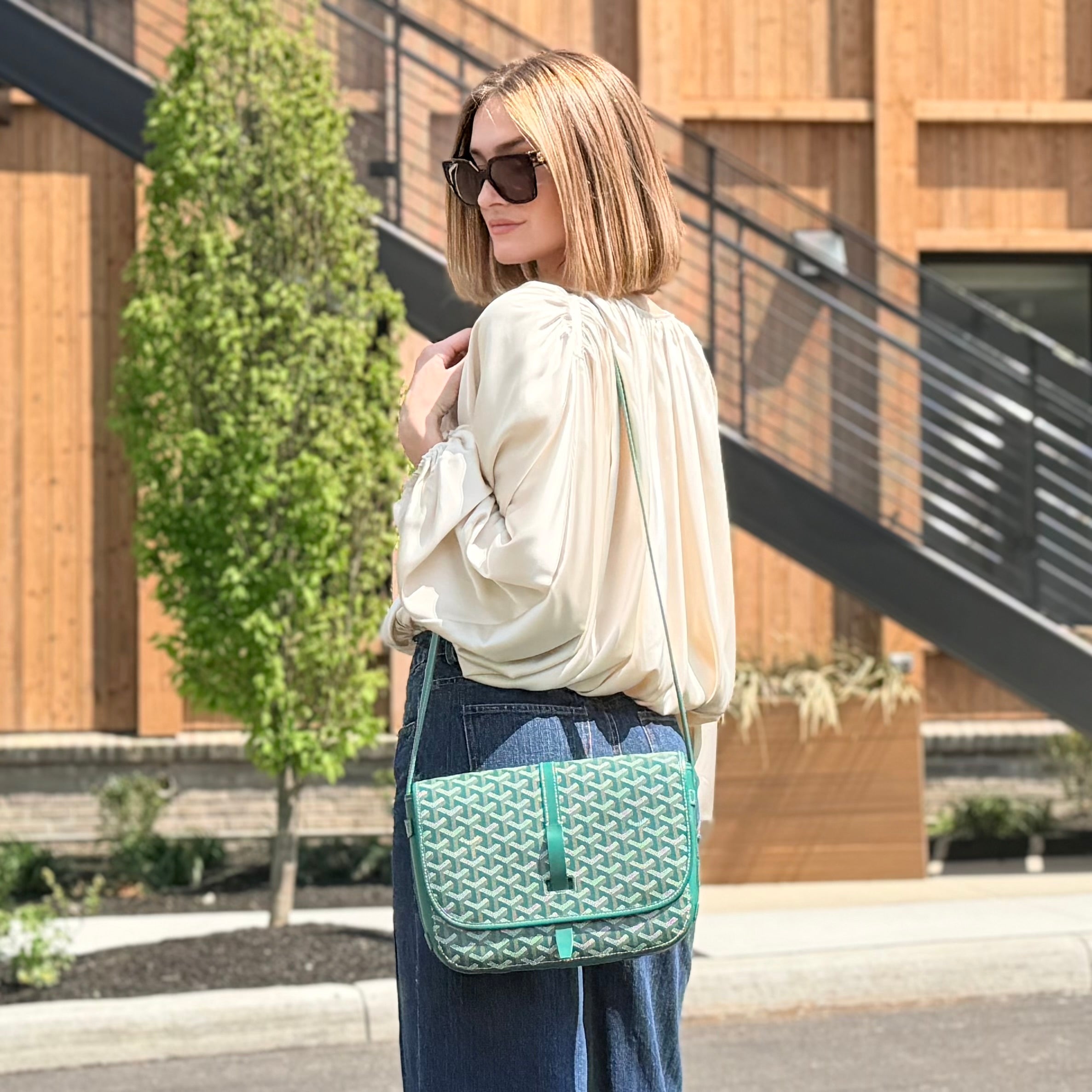 Goyard Belvedere MM crossbody Bag