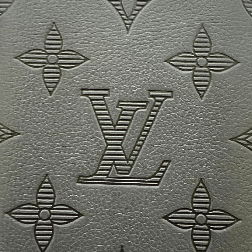 Louis Vuitton Shadow Leather Pocket Organizer Wallet