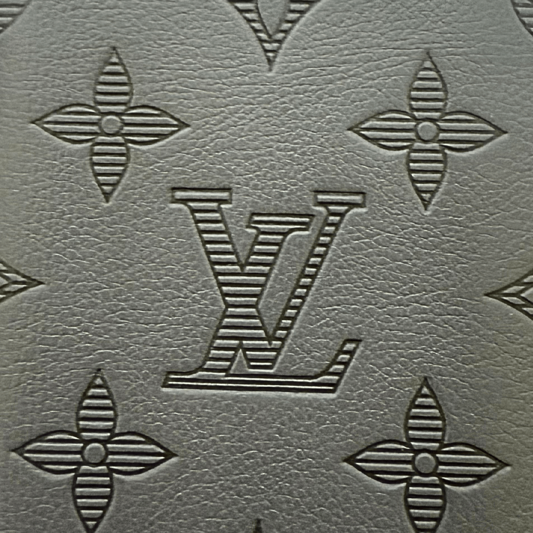 Louis Vuitton Shadow Leather Pocket Organizer Wallet