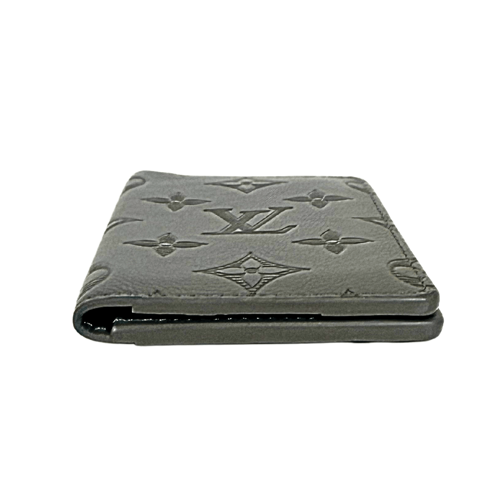 Louis Vuitton Shadow Leather Pocket Organizer Wallet