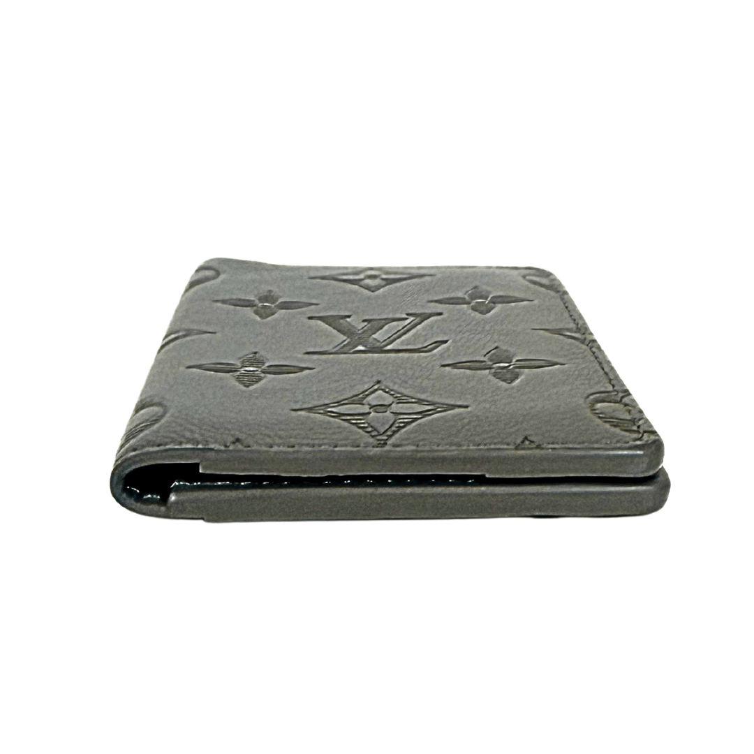 Louis Vuitton Shadow Leather Pocket Organizer Wallet