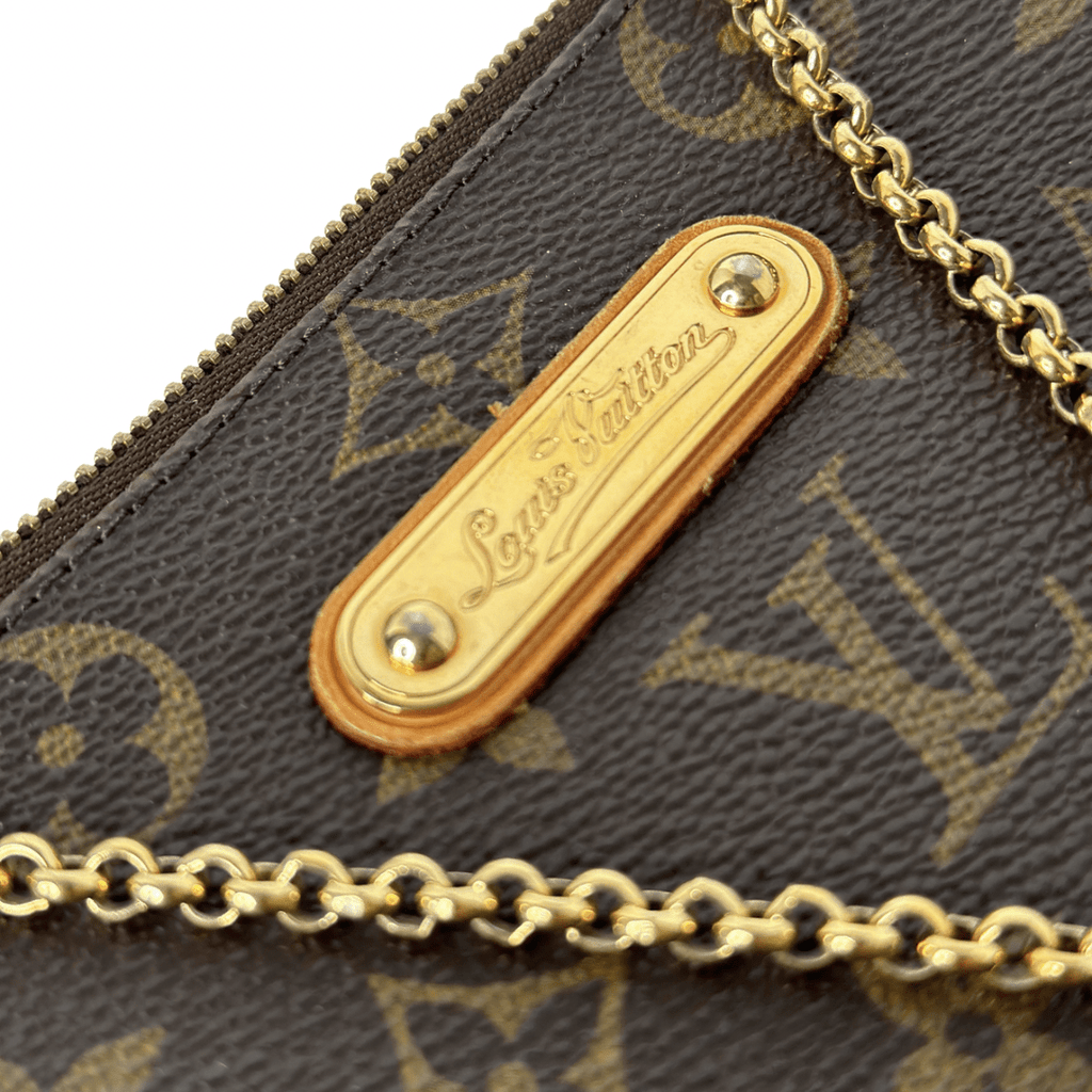 Louis Vuitton Monogram Eva Pochette Crossbody