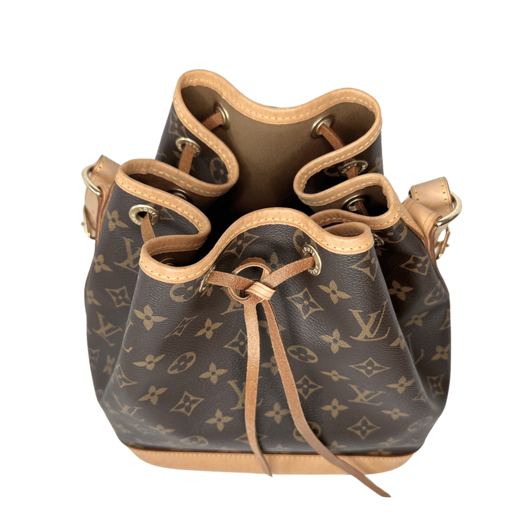 Louis Vuitton Monogram Petit Noe Bag