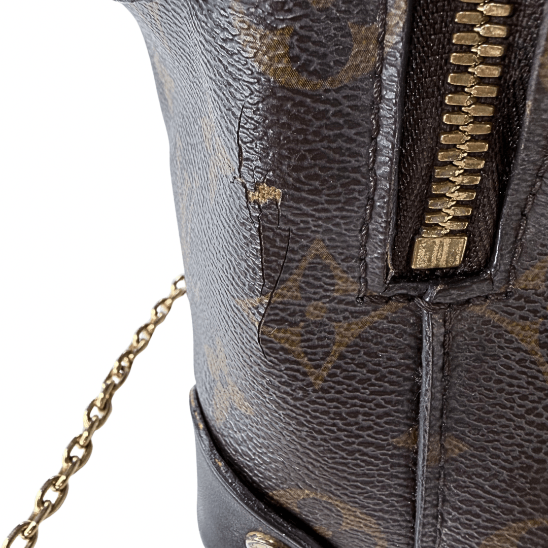 Louis Vuitton Monogram Petite Malle Souple