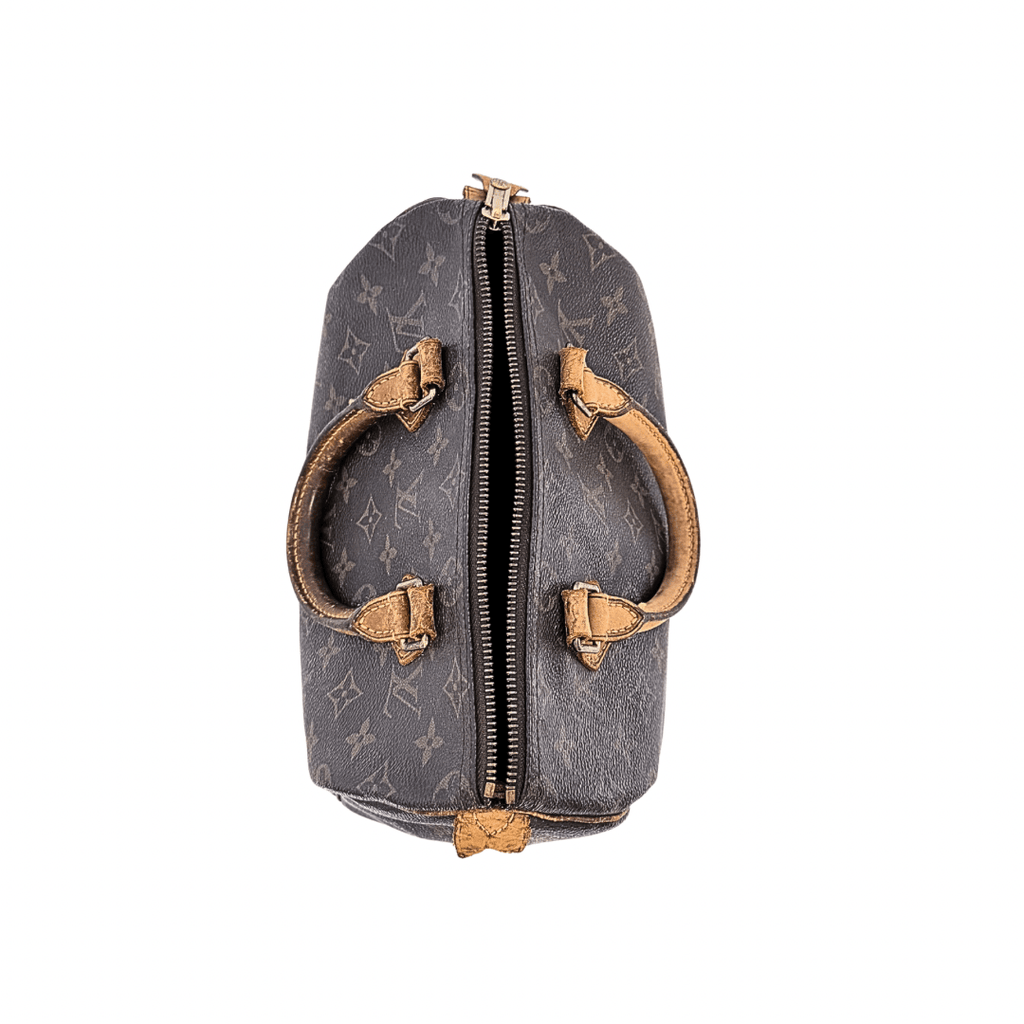 Louis Vuitton Vintage Monogram Speedy 25