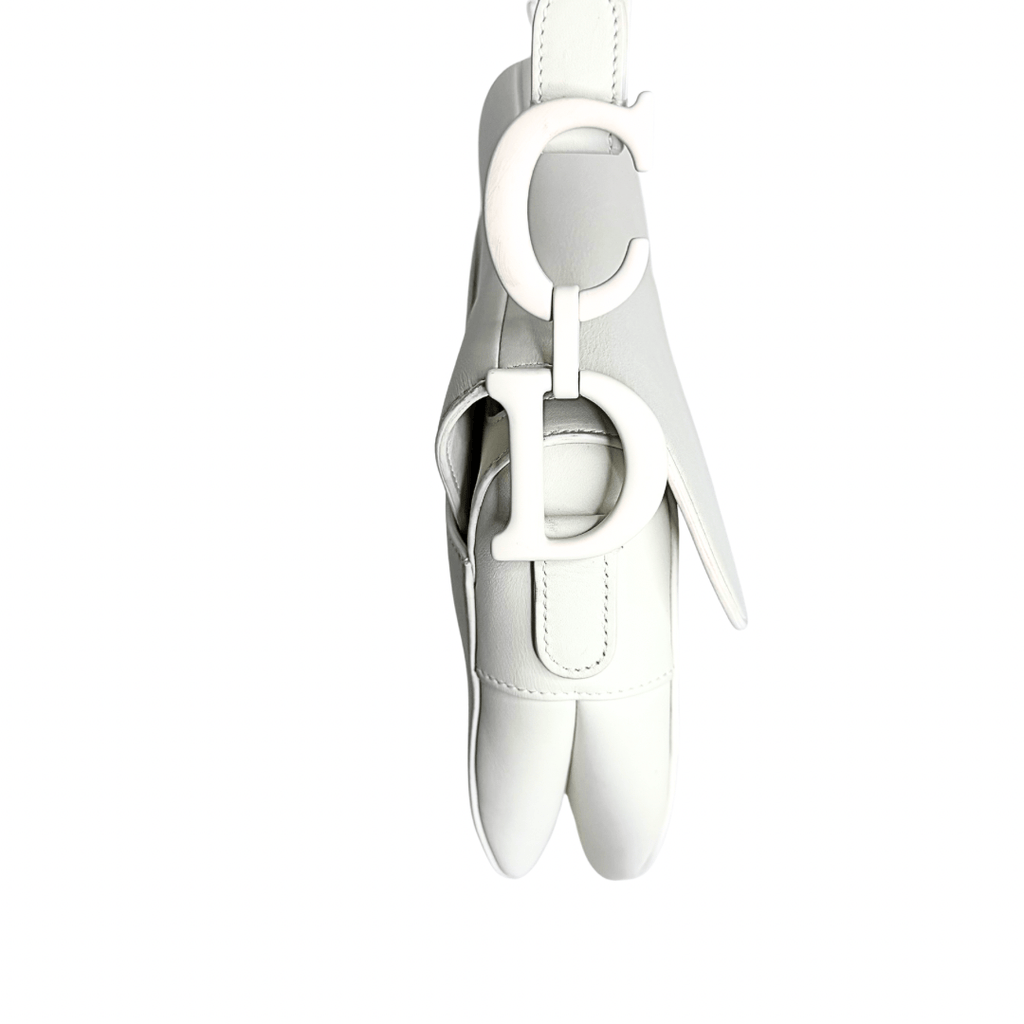 Dior Ultra-Matte Saddle Bag