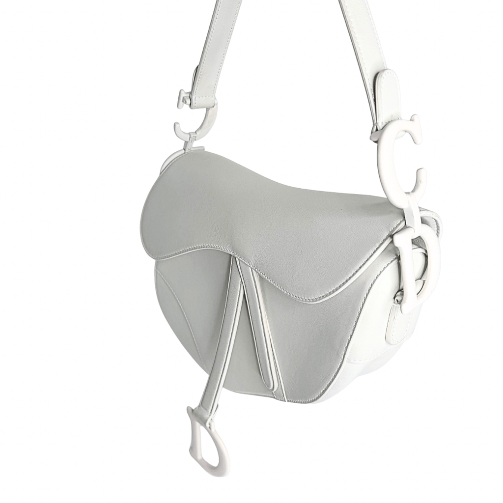 Dior Ultra-Matte Saddle Bag