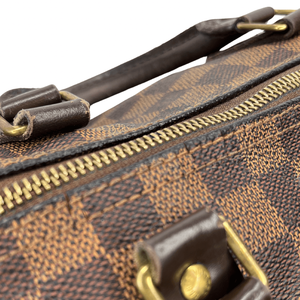 Louis Vuitton Damier Ebene Speedy 30 Bag