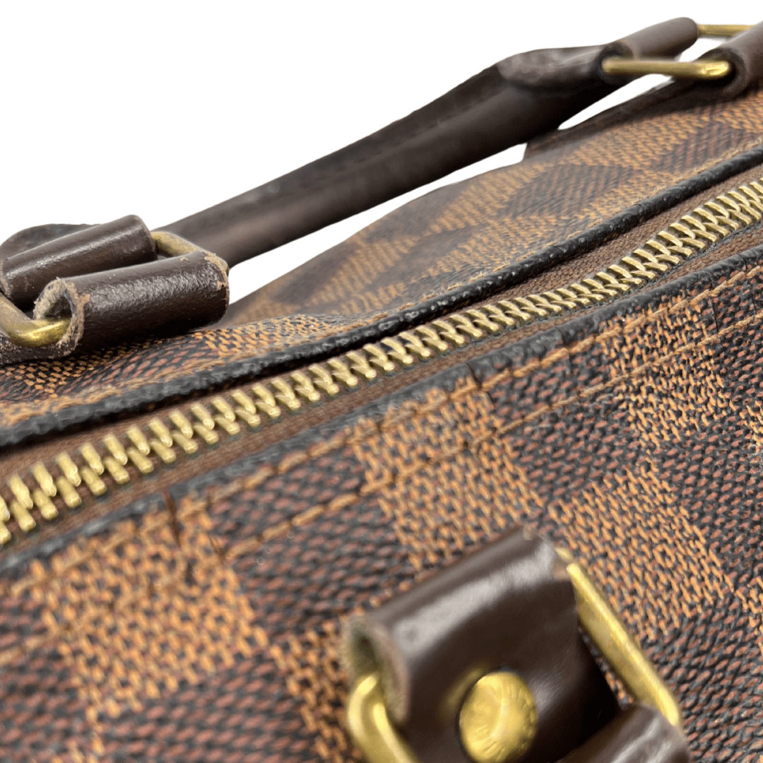 Louis Vuitton Damier Ebene Speedy 30 Bag