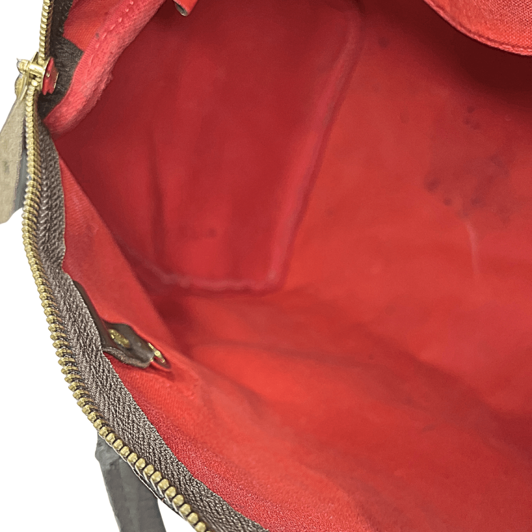 Louis Vuitton Damier Ebene Speedy 30 Bag
