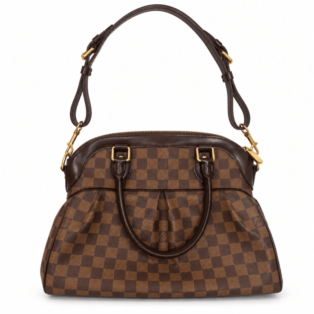 Louis Vuitton Damier Ebene Trevi PM Shoulder Bag