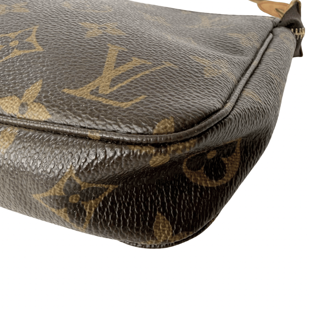Louis Vuitton Monogram Pochette Accessoires Bag