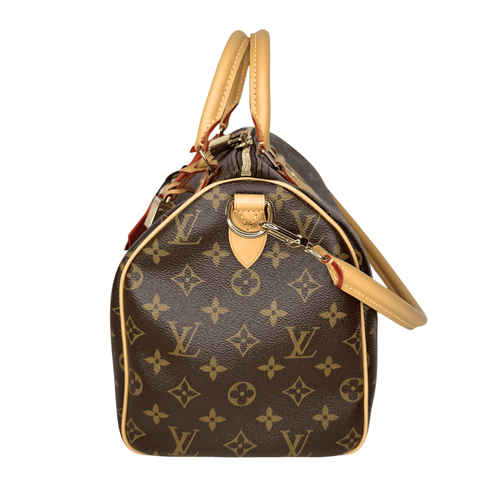 Louis Vuitton Monogram Speedy Soft 30 Crafty
