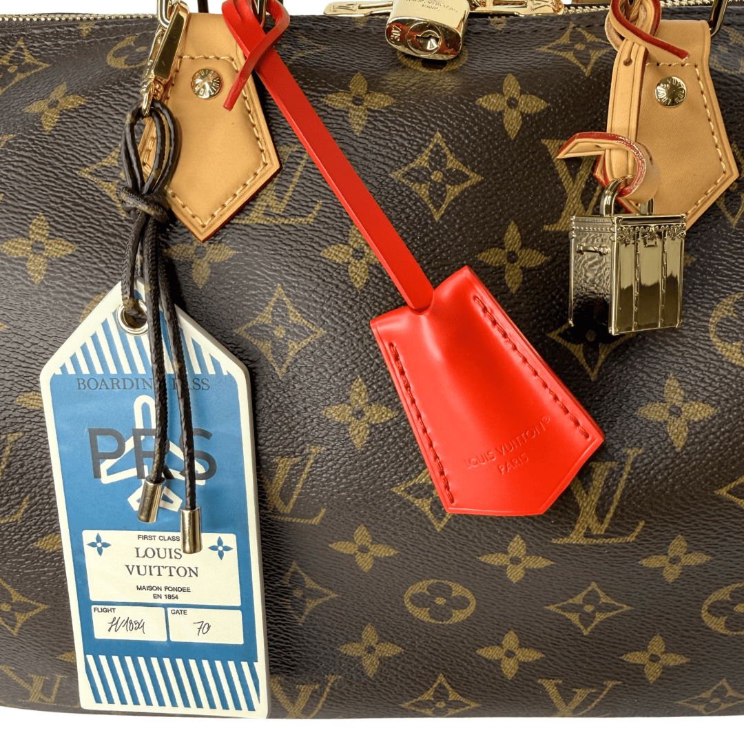 Louis Vuitton Monogram Speedy Soft 30 Crafty