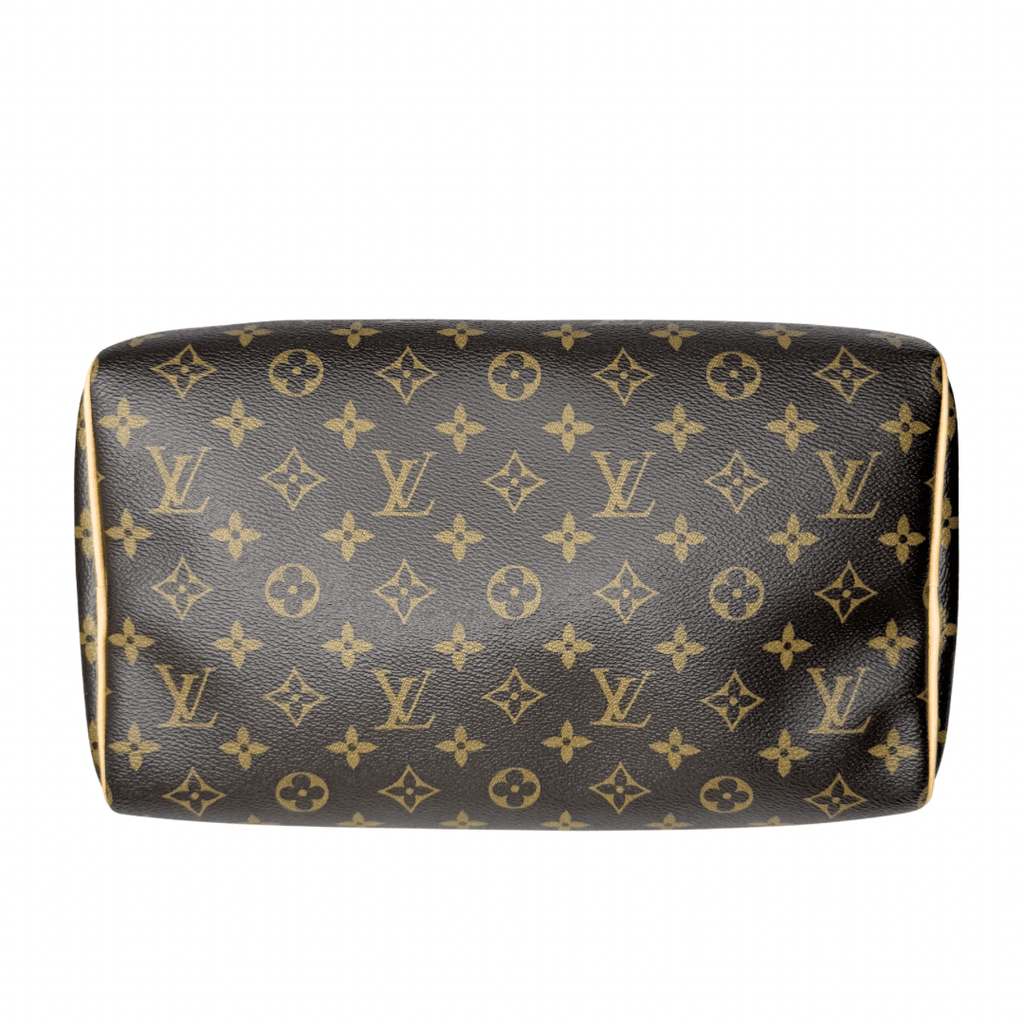 Louis Vuitton Monogram Speedy Soft 30 Crafty