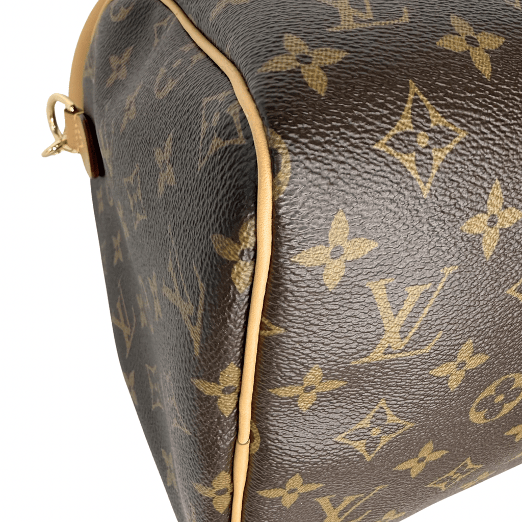 Louis Vuitton Monogram Speedy Soft 30 Crafty