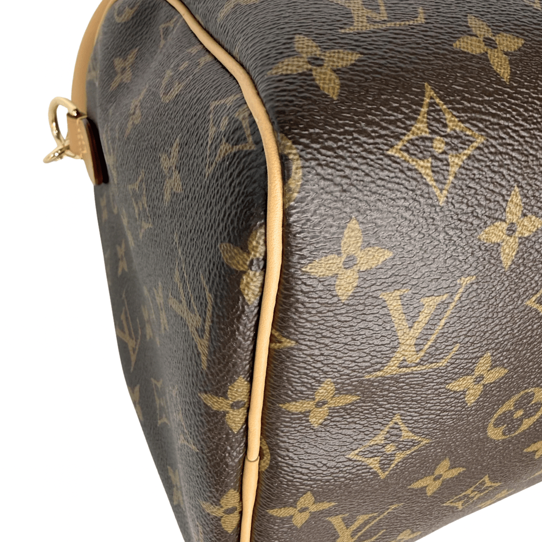 Louis Vuitton Monogram Speedy Soft 30 Crafty