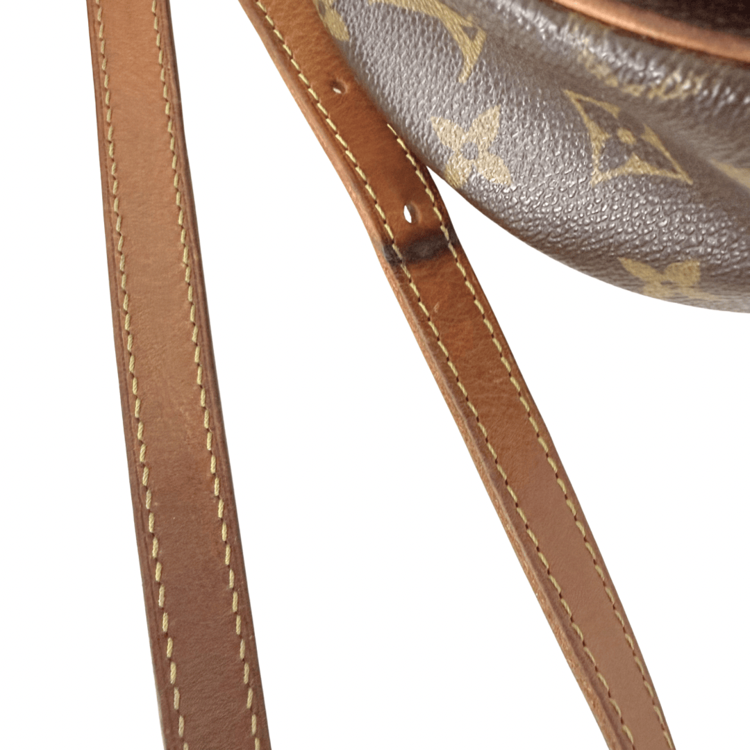 Louis Vuitton Monogram Tambourin Crossbody