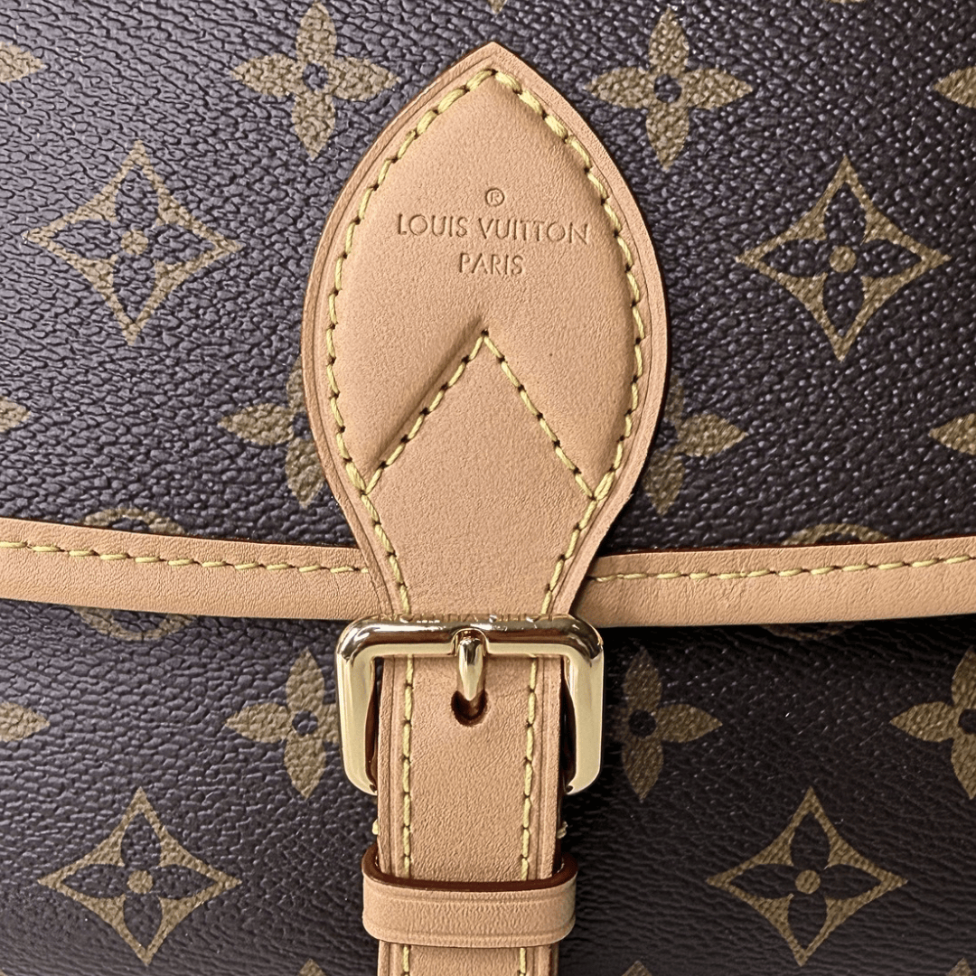 Louis Vuitton Monogram Diane PM Bag
