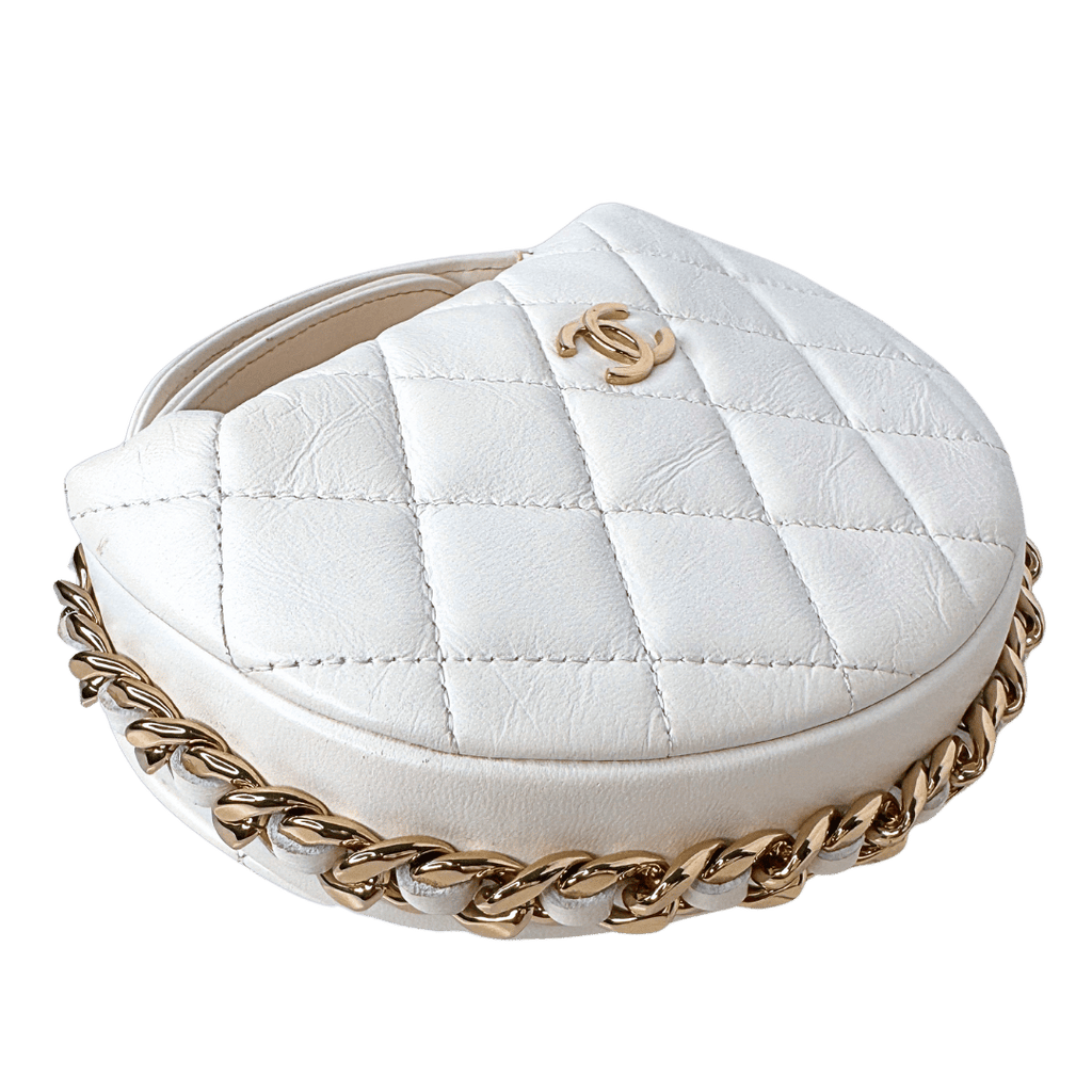 Chanel Quilted Chain Around Hobo Pouch