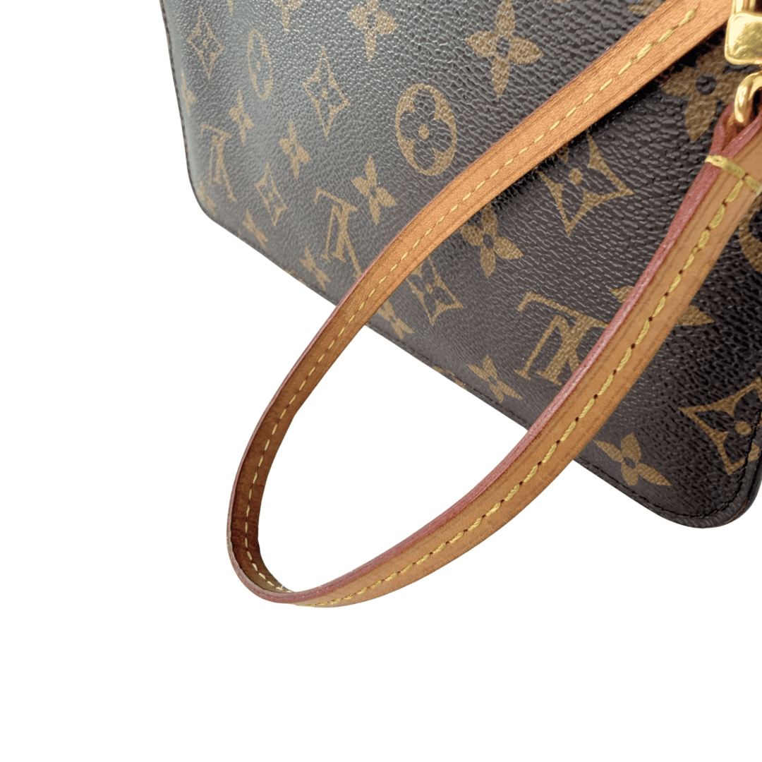 Louis Vuitton Monogram Neverfull Pochette