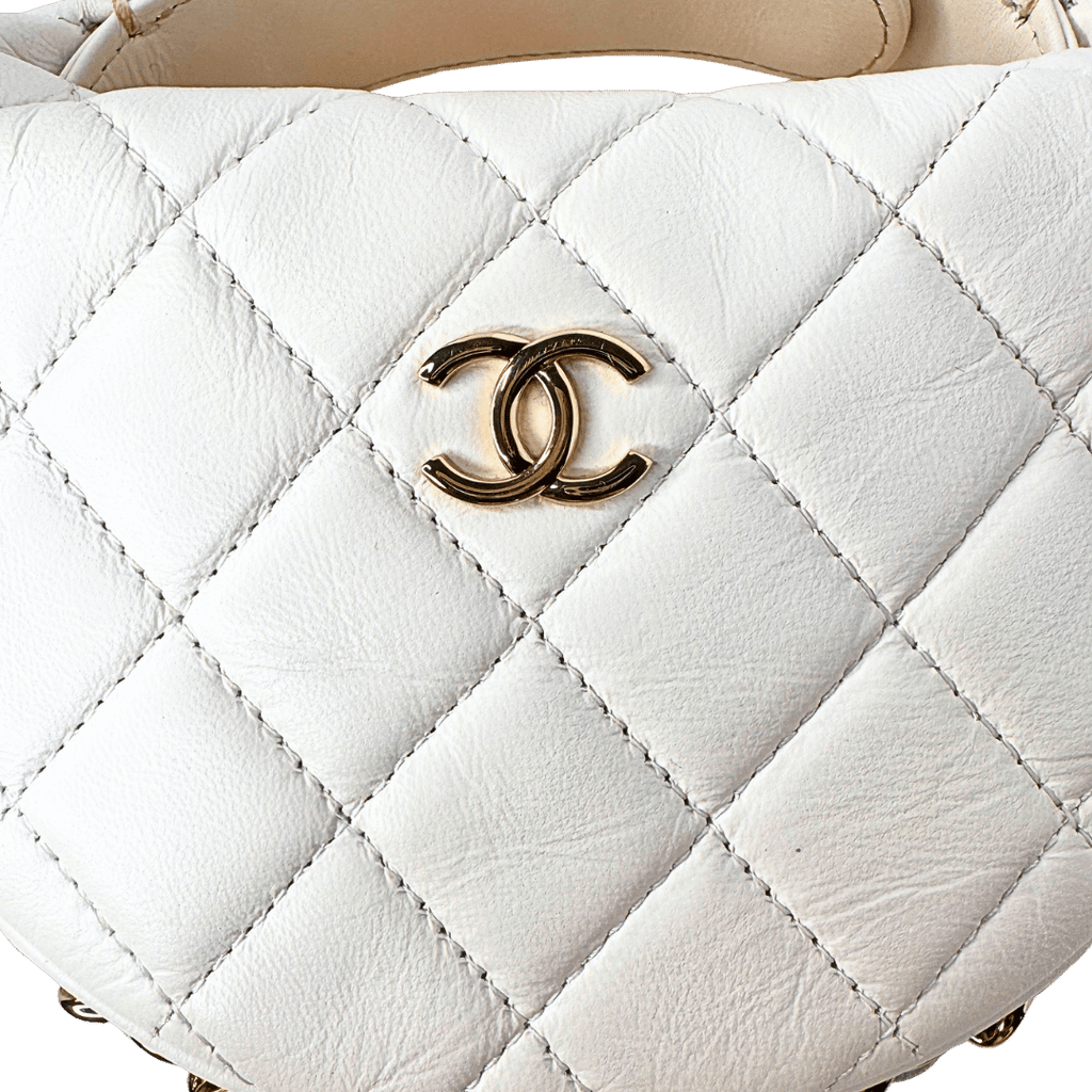Chanel Quilted Chain Around Hobo Pouch