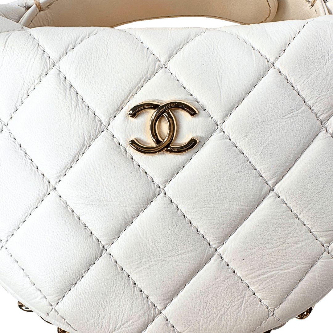 Chanel Quilted Chain Around Hobo Pouch